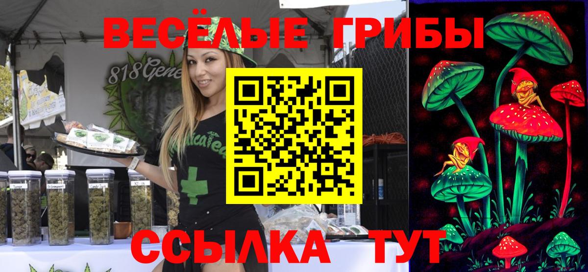 Галлюциногенные грибы мухоморы Тобольск